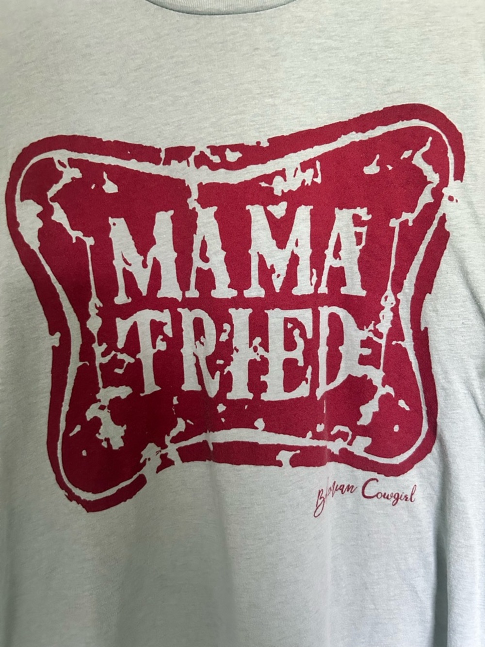 Bohemian Cowgirl Mama Tried Short Sleeve Tee - Sage/Red - Picture 3 of 4